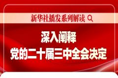 新华社播发系列解读 深入阐释党的二十届三中全会决定